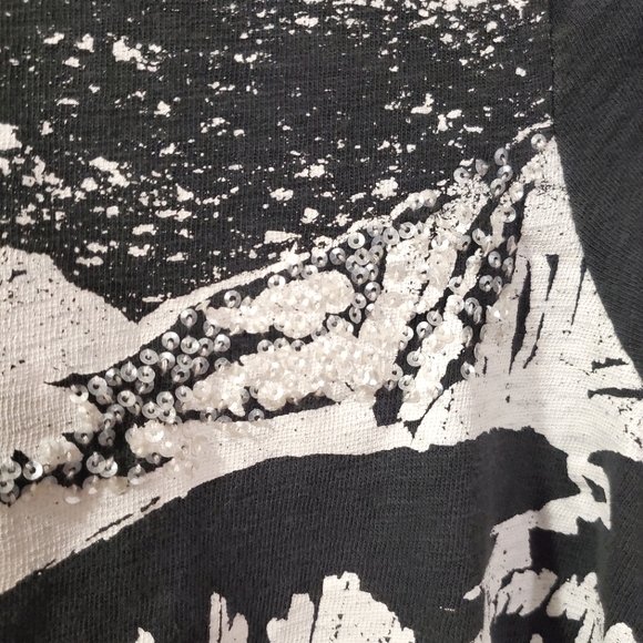 J Crew - Embellished Mountain Scene Tee - Read for Sizing - Picture 5 of 8